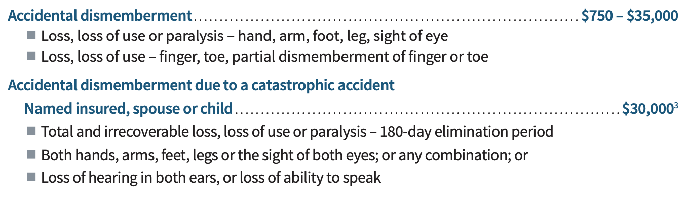 ACCIDENTAL DISMEMBERMENT coverage
